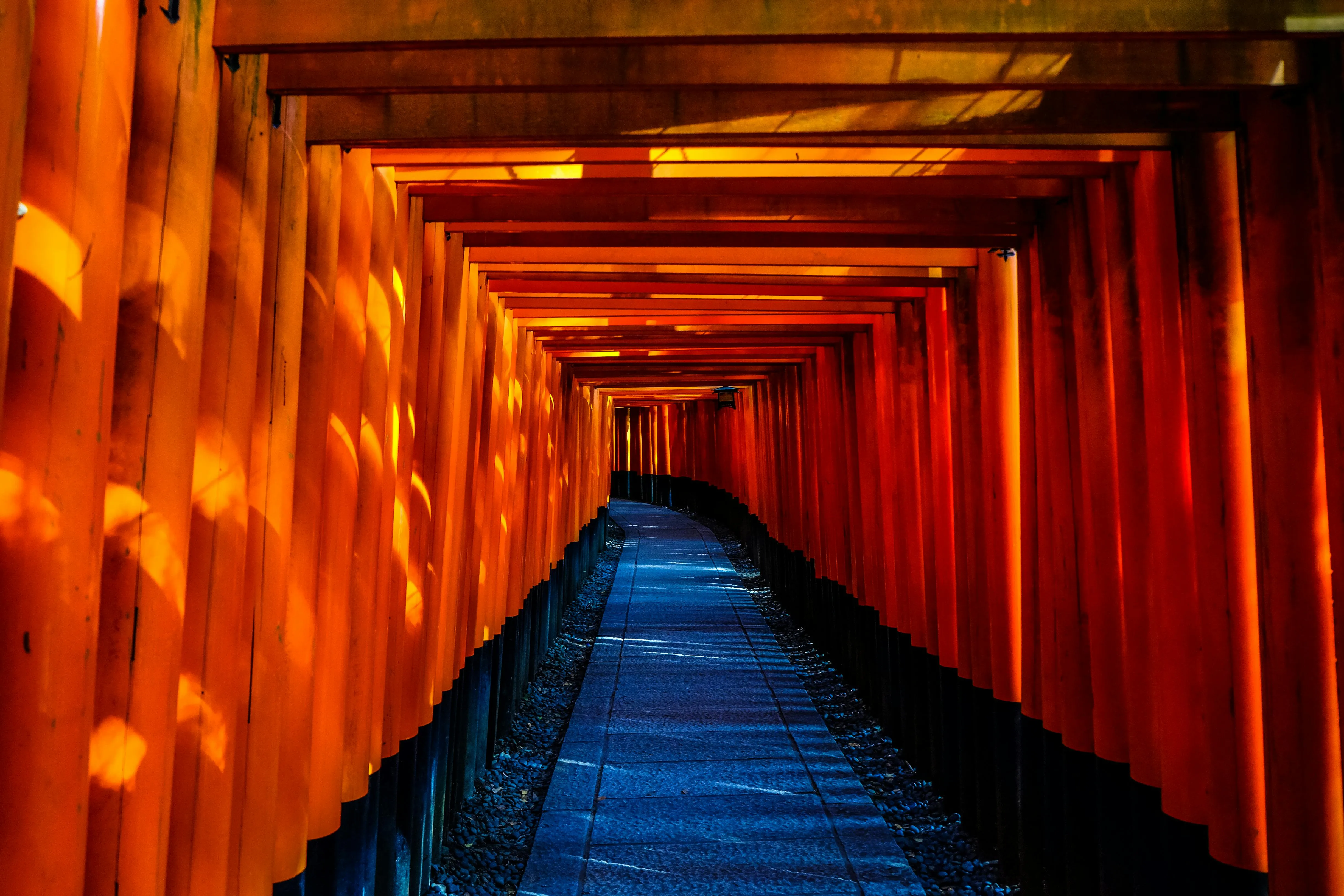Fushimi Inari torii gate tunnel in golden light